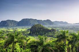 3,614 likes · 79 talking about this. What Is A Mogote Worldatlas