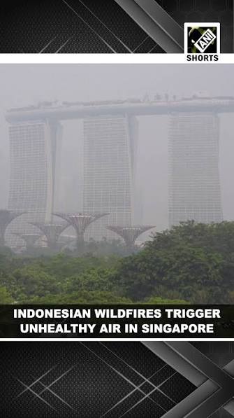 Thick haze of poor-quality air lingers over Singapore as Indonesian  wildfires rage on, #Singapore #Indonesia #Wildfires #Haze #AirPollution  #PrabowoSubianto #ForestFires #SoutheastAsia #ClimateCrisis ...