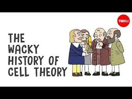 The Wacky History Of Cell Theory Lauren Royal Woods Youtube Cell Theory Biology Experiments Science Cells