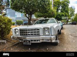 Image result for Monte Carlo White 1977 Renault