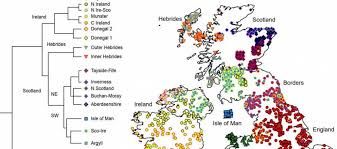 Wanderung ueber die burgruinen rothenfels und hugofels zur siedelalpe. Genetische Karte Von Schottland Verein Fur Computergenealogie E V Compgen