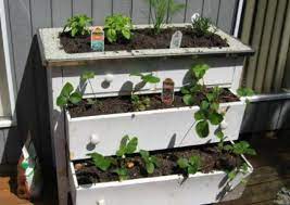 We did not find results for: How To Start A Low Cost Patio Garden