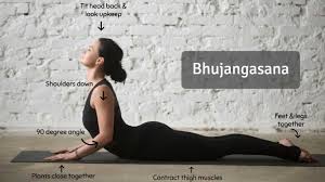 Opening the arms out from the shoulders in warrior 2 (shoulder abduction) bringing the arms back to the sides of the body in tadasana (shoulder adduction) 11 Excellent Benefits Of Bhujangasana The Cobra Pose