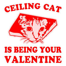 A cat hammock, whether hung near the ceiling or underneath a sturdy chair, is sure to attach curious felines. Ceiling Cat Is Being Your Valentine Funny Tee Electrovista Designselectrovista Designs
