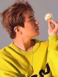 95' Liner — tuangelic: mark cheeks