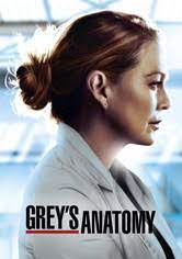 Station 19 saison 4 épisode 7 streaming vf et vostfr, regarder grey's anatomy : Regarder La Serie Grey S Anatomy Streaming