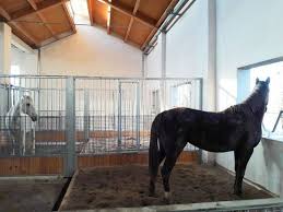 A Stable In Italy Designs Its Stalls With The Horse In Mind Stable Style Horses Horse Barns Horse Stalls