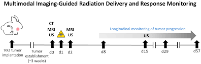 Cancers | Free Full-Text | Development and Validation of a Clinically  Relevant Workflow for MR-Guided Volumetric Arc Therapy in a Rabbit Model of  Head and Neck Cancer | HTML
