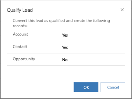 Qualify Or Convert Leads Dynamics 365 Sales Microsoft Docs