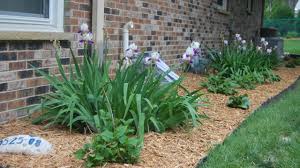 Check spelling or type a new query. 10 Types Of Mulch Choose The Right One For Your Landscape The Self Sufficient Living