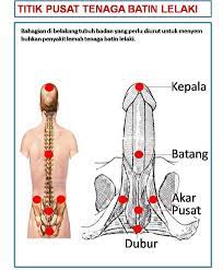 Maybe you would like to learn more about one of these? Paku Midin 10 Cara Mudah Tingkatkan Tenaga Batin Tradisional