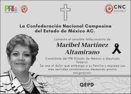 Maribel martínez ruíz (oaxaca) es una política y activista mexicana. Nz6gxwuqsqykm