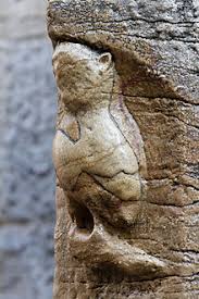 La Chouette Porte Bonheur Les Animaux Et Leurs Messages