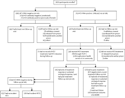 © 2021 mjh life sciences and pharmacy times. Evaluation Of Hepatitis C Treatment As Prevention Within Australian Prisons Stop C A Prospective Cohort Study The Lancet Gastroenterology Hepatology