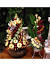 Creative Vegetable Salad Decoration