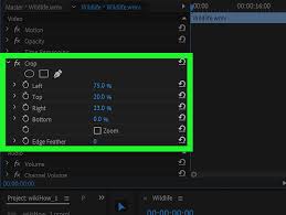 Adobe premiere was a former video editing software developed by adobe systems. How To Crop A Video In Adobe Premiere Pro 10 Steps