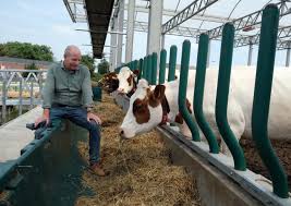 Farines Animales Sont Elles Vraiment Interdites Dans L Union Europeenne