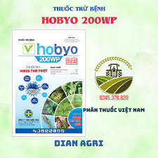 Hobyo 200WP