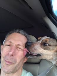 Lost my dog to cancer suddenly