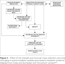Physical Exercise And Metabolic Syndrome