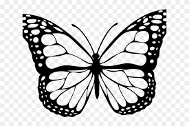Kids and beginners alike can now draw a great looking butterfly. Monarch Butterfly Clipart Png Format Butterfly Drawing With Colour Transparent Png 2349860 Pikpng