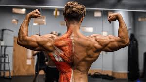 How To Get V Shape Back Online Sales Up To 70 Off Www Editorialelpirata Com