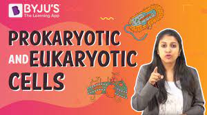 Maybe you would like to learn more about one of these? Prokaryotic And Eukaryotic Cells Youtube