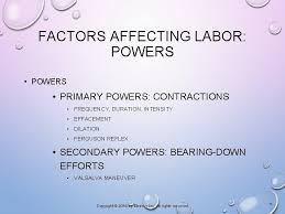 It bears just about no resemblance to the actual anatomical structures which are extremely small, three dimensional and much more complex in terms of the nerve projections. Chapter 16 Labor And Birth Processes Copyright 2016