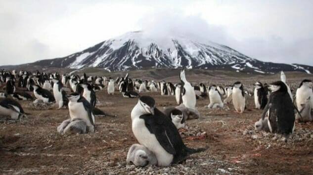 Check Out the Technology That Makes Planet Earth II A Possibility