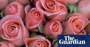 It's an occasion that makes. 20 Things Not To Do On Valentine S Day Valentine S Day The Guardian