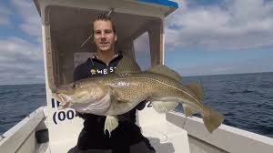 Für meerforellenangler ist langeland zweifellos ein paradies die insel bietet sowohl für das fischen in der warmen als auch der kalten jahreszeit fängige plätze. Spodsbjerg Langeland 2017 Sdm Fishing Danemark Dorsch Danmark Torsk Denemarken Kabeljauw Youtube