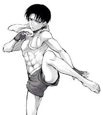 Victorious Boxer Levi X Reader Levi Ackerman One Shots Выбор без сожалений attack on titan: victorious boxer levi x reader levi