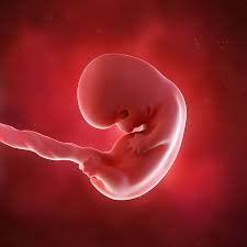 This bleeding is caused by a fertilized egg implanting itself you may experience breakthrough bleeding during you pregnancy. 8 Weeks Pregnant Pregnancy Week By Week