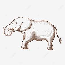 Line drawing based line drawing line drawing style line drawing flowers roses line drawing line drawing illustration phoenix line drawing line imgbin is the largest database of transparent high definition png images. Retro Line Drawing Animal Elephant Elephant Clipart Clipart Black And White Elephant Png Transparent Clipart Image And Psd File For Free Download