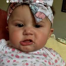 What type of plant is this and how to keep it alive?