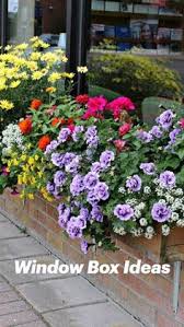 Check spelling or type a new query. 750 Plants Flowers Ideas In 2021 Plants Planting Flowers Rock Garden