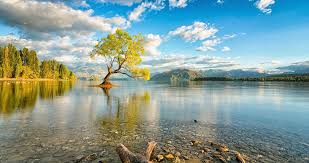 Lake In New Zealand Wallpapers Wallpaper Cave We have a massive amount of hd images that will make your computer or smartphone look absolutely fresh. lake in new zealand wallpapers