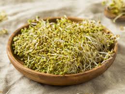 This gives the alfalfa plants time to grow and develop before going dormant over the winter. Benefits Of Alfalfa Sprouts And How To Grow Them At Home The Times Of India