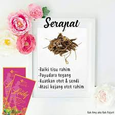 Pantangan ibu hamil dalam beraktifitas : Drladyt Instagram Posts Photos And Videos Picuki Com