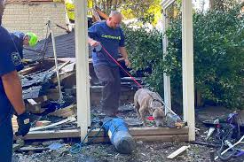 Dog Thought to Be Dead Survives House Explosion and Days in Wreckage