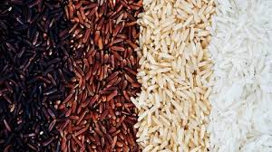 Rice truly is a great addition to your food storage needs for emergency preparedness and keeping. How Long Can You Store Rice Best Long Term Rice Storage