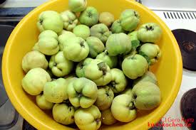 Das ist eine stoffwechselstörung, die aufgrund von schlechten wachstumsbedingungen auftreten kann. Rezept Fur Quittengelee