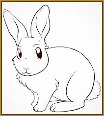 Pin Auf Tiere Malen Einfach Hase