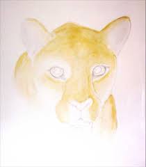Jaguar Zeichnen Und Malen Mit Aquarell Mal Einfach Mit