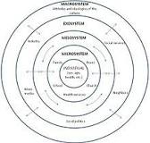 Image result for You can help with this please? Identify, examine, and explain a contemporary social problem or a special topic as it relates to developmental psychology.