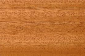 Image result for Lovoa