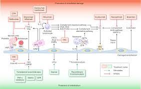 Image result for Plasmic Score