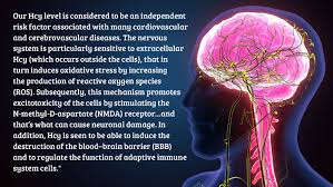 Image result for Homocysteine