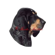 Image result for malý modrý gaskoňský honič