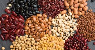 The kidney bean is a variety of the common bean phaseolus vulgaris. 5 Fruits And Vegetables For Cats Petcoach
